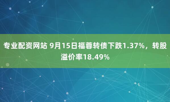 专业配资网站 9月15日福蓉转债下跌1.37%，转股溢价率18.49%