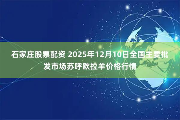 石家庄股票配资 2025年12月10日全国主要批发市场苏呼欧拉羊价格行情